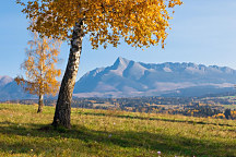 Obraz Jesenná príroda 1472